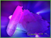 Calcite Fluorescent Quartz