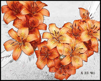 Lillies Orange