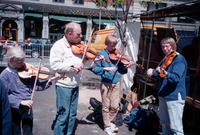 Family of Violin Musicians