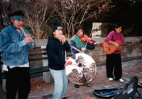 Central Park Musicians