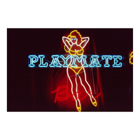 Vintage Playmate Bar Neon NYC